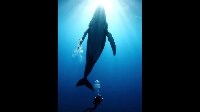 杉浦杏奈 - 深蓝星球：探索海洋深处的未知世界